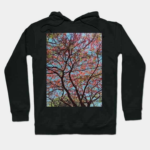 Pink flowers tree photo Hoodie by Perdi as canetas